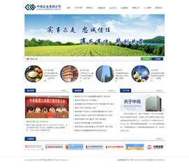 企業(yè)展示型響應(yīng)式網(wǎng)站建設(shè)指南 專業(yè)設(shè)計(jì)與高效制作